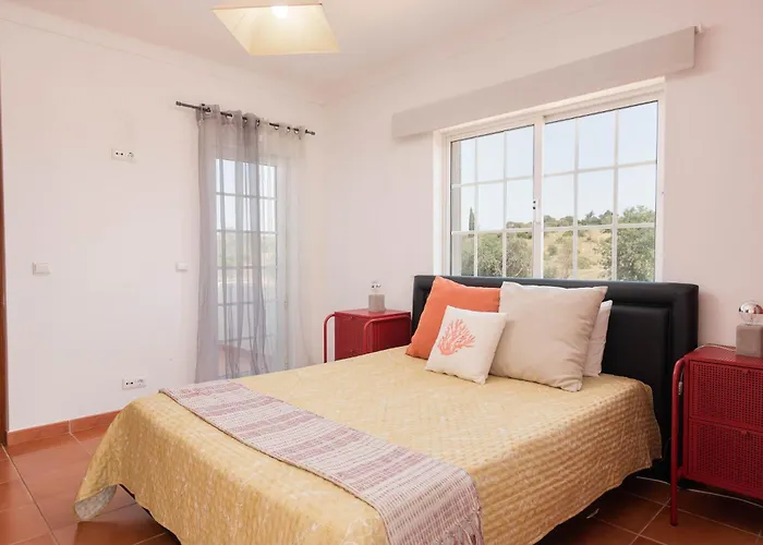 Judy - * 알부페이라